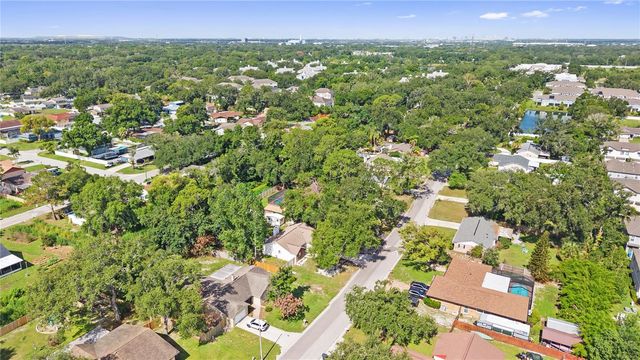 1917 DOVE FIELD PLACE, Brandon, FL 33510