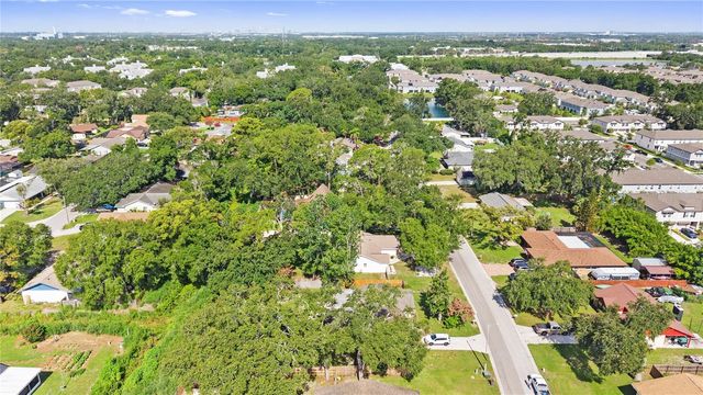 1917 DOVE FIELD PLACE, Brandon, FL 33510