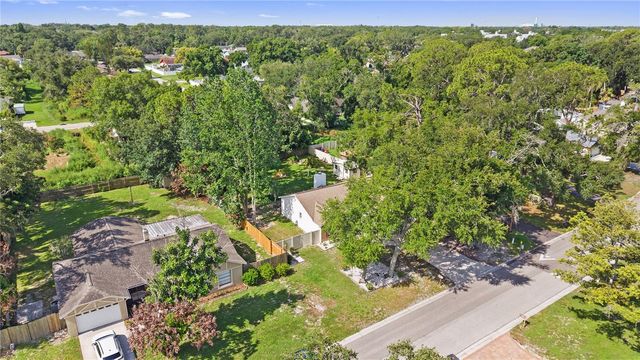 1917 DOVE FIELD PLACE, Brandon, FL 33510
