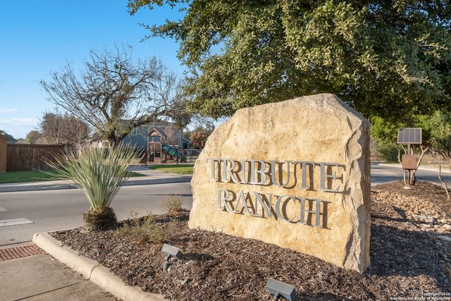 8807 Straight Oaks, San Antonio, TX 78254