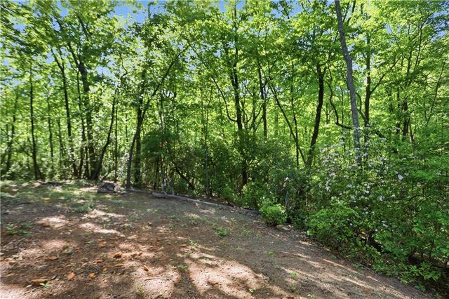 702 Ranch Mountain Drive, Dahlonega, GA 30533