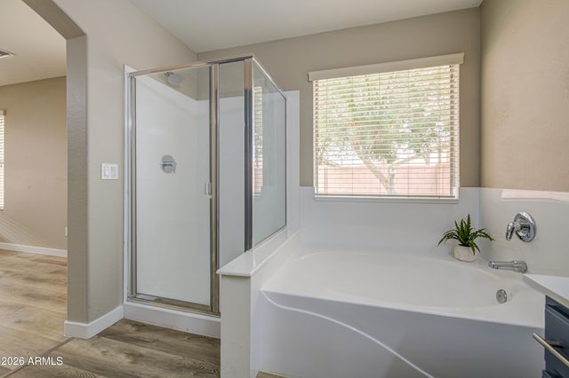 15668 W SAGUARO Lane, Surprise, AZ 85374