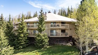 89 S E STEAM ENGINE DR #7B, Brian Head, UT 84719