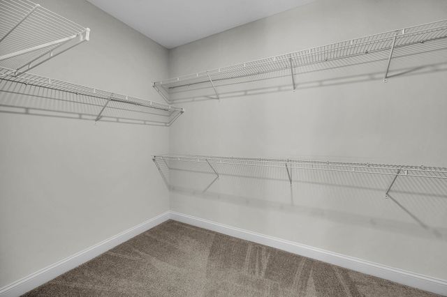 33 Verdure St, St Johns, FL 32259