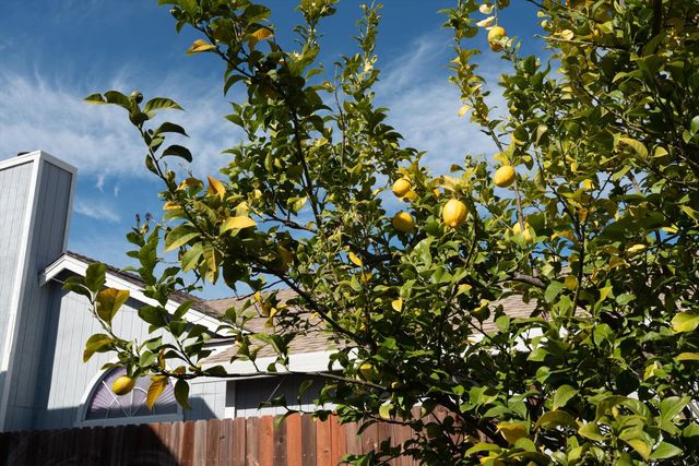 8625 Valley Rim Way, Antelope, CA 95843