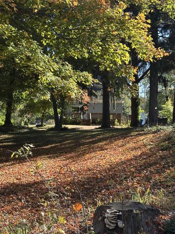 513 S Water Street, Hart, MI 49420