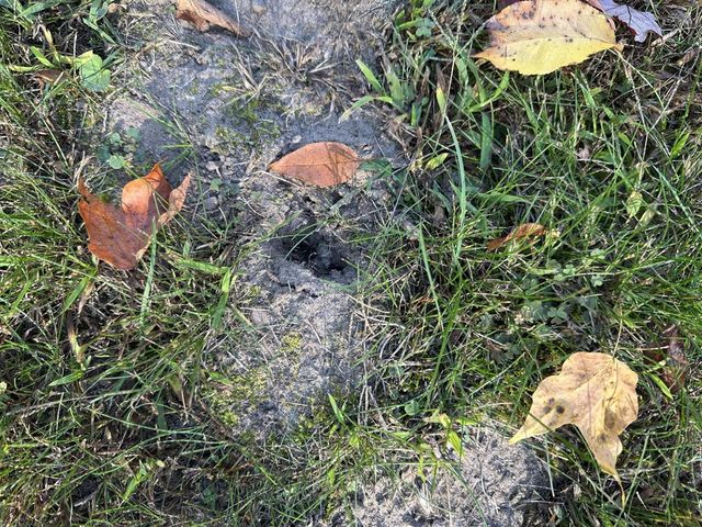 513 S Water Street, Hart, MI 49420