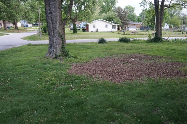 203 W King Drive, Willard, MO 65781
