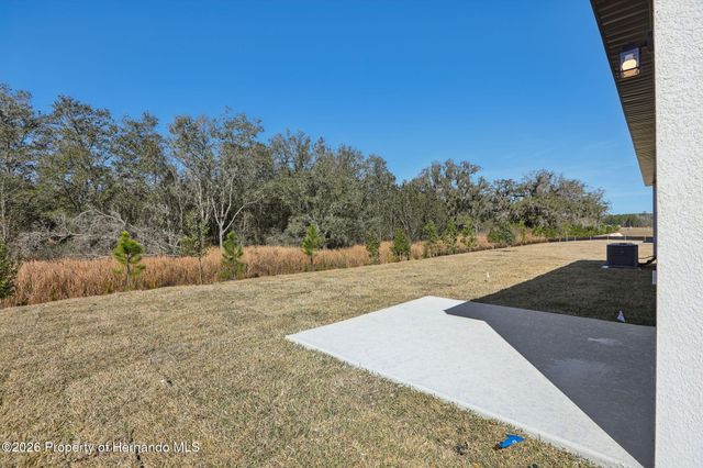 7177 RAY CREEK Drive, Brooksville, FL 34601