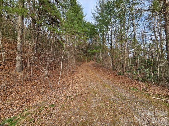 00 Wispy Willow Drive 22T, Waynesville, NC 28785