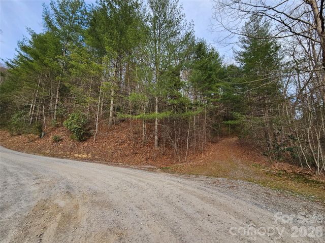 00 Wispy Willow Drive 22T, Waynesville, NC 28785