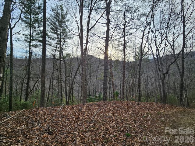 00 Wispy Willow Drive 22T, Waynesville, NC 28785