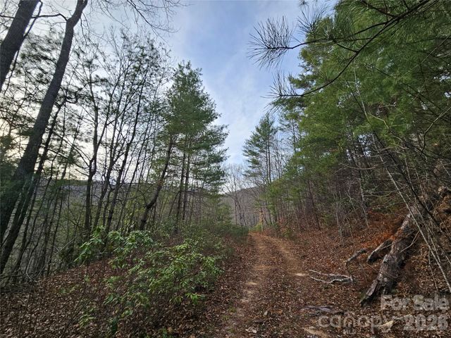 00 Wispy Willow Drive 22T, Waynesville, NC 28785