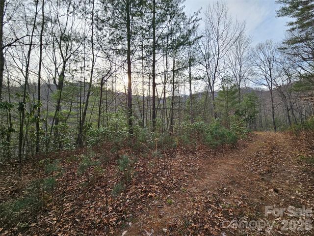 00 Wispy Willow Drive 22T, Waynesville, NC 28785