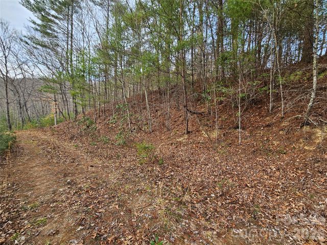 00 Wispy Willow Drive 22T, Waynesville, NC 28785