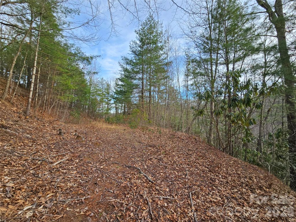 00 Wispy Willow Drive 22T, Waynesville, NC 28785