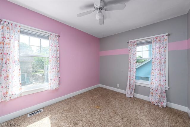 1473 Wyandotte Avenue, Lakewood, OH 44107