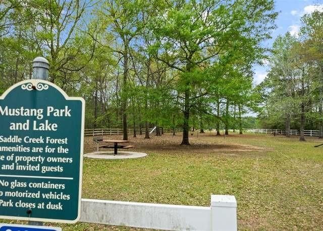 30041 Round Up Drive, Waller, TX 77484