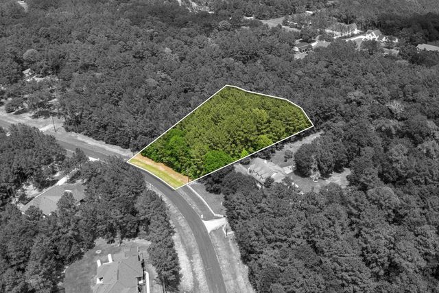 30041 Round Up Drive, Waller, TX 77484