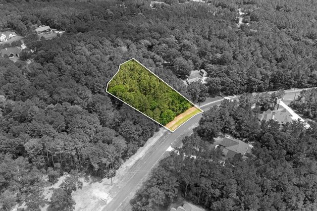 30041 Round Up Drive, Waller, TX 77484