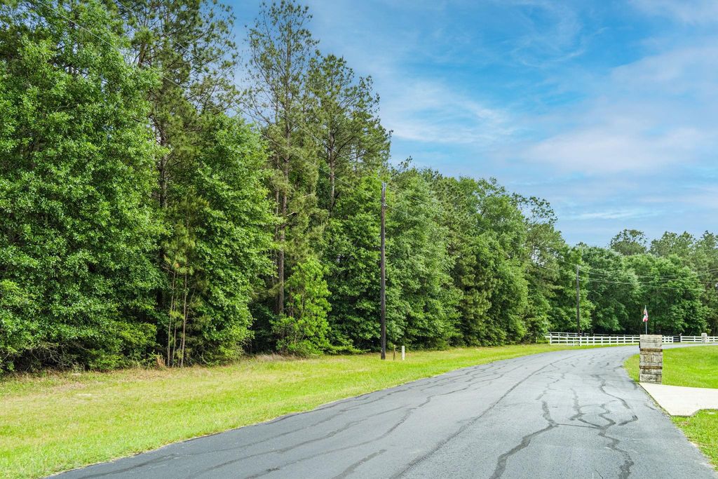 30041 Round Up Drive, Waller, TX 77484