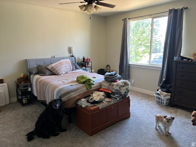 301 E SALEM PARK CIR, Salem, UT 84653