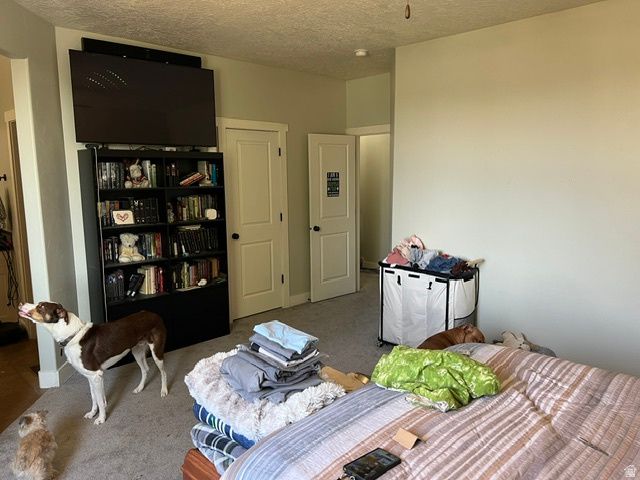 301 E SALEM PARK CIR, Salem, UT 84653