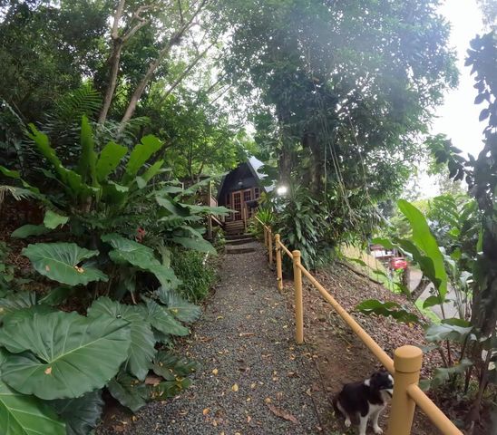 1 D, Cidra, PR 00739