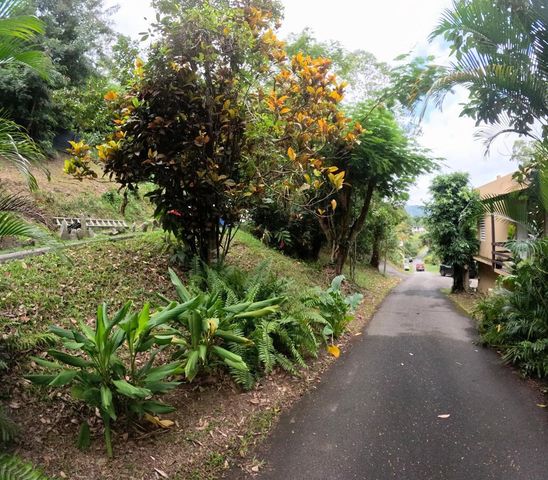 1 D, Cidra, PR 00739