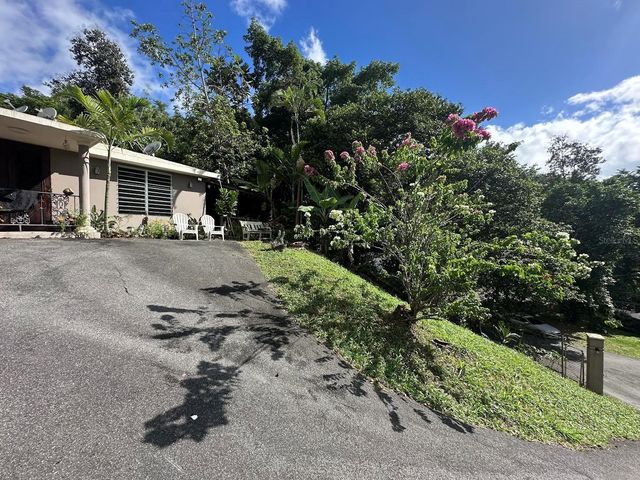 1 D, Cidra, PR 00739