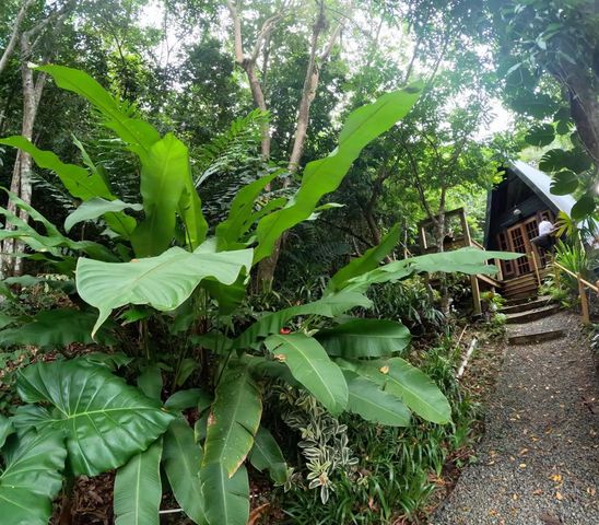 1 D, Cidra, PR 00739