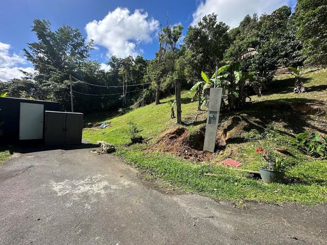 1 D, Cidra, PR 00739