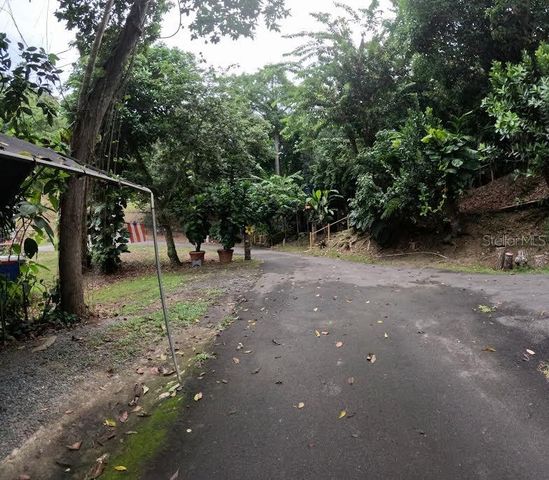 1 D, Cidra, PR 00739