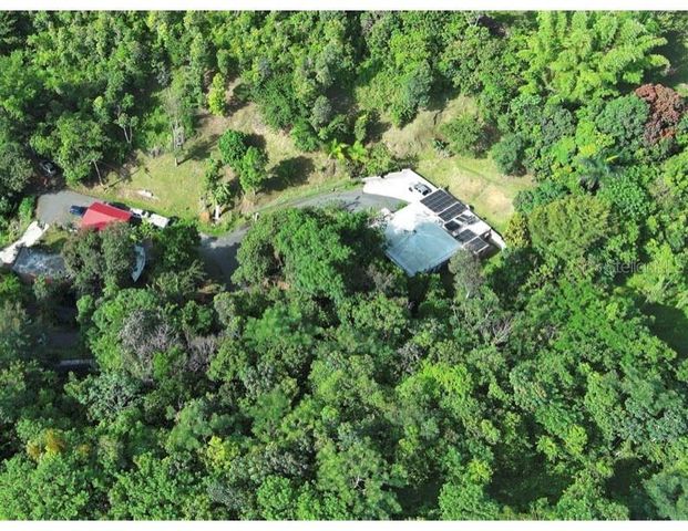 1 D, Cidra, PR 00739