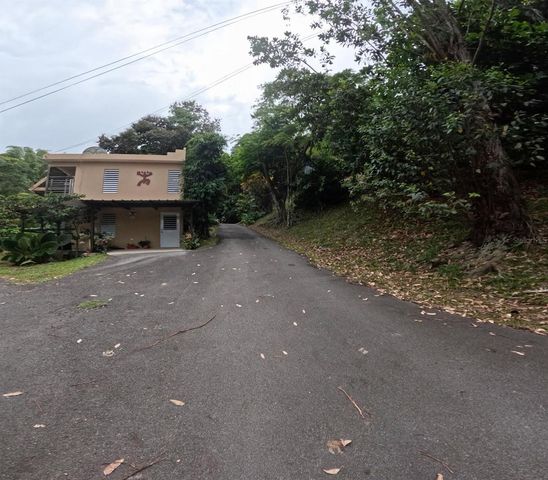 1 D, Cidra, PR 00739