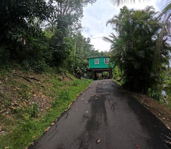 1 D, Cidra, PR 00739