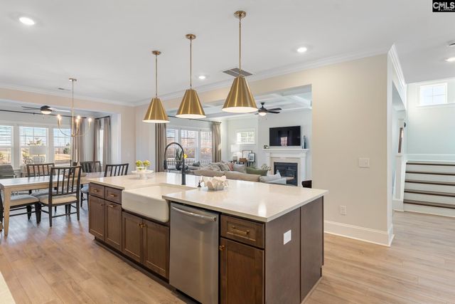 410 Rising Stream Way, Chapin, SC 29036