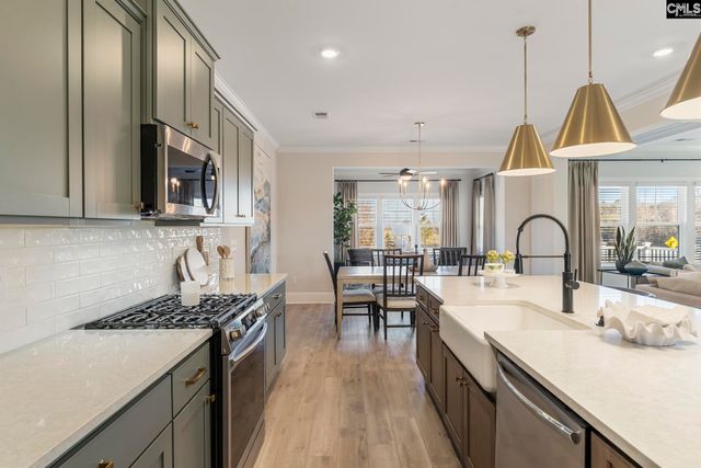 410 Rising Stream Way, Chapin, SC 29036