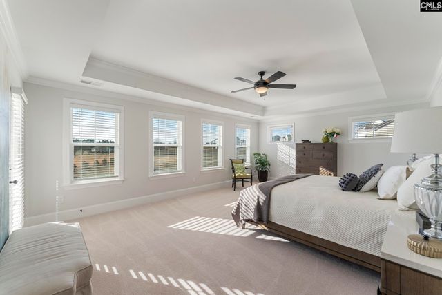 410 Rising Stream Way, Chapin, SC 29036