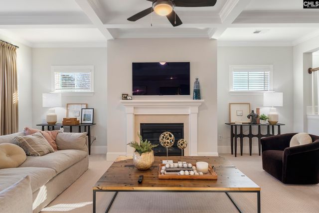 410 Rising Stream Way, Chapin, SC 29036