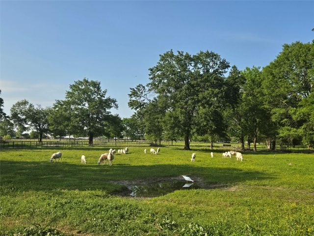 2790 Derby Lane, Madisonville, TX 77864