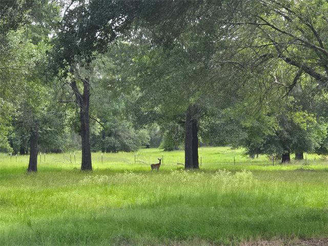 2790 Derby Lane, Madisonville, TX 77864