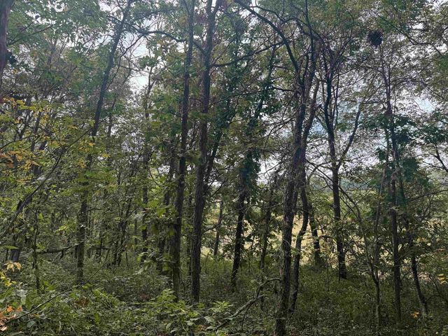 108.57 +/- Ac County Road N, Argyle, WI 53516