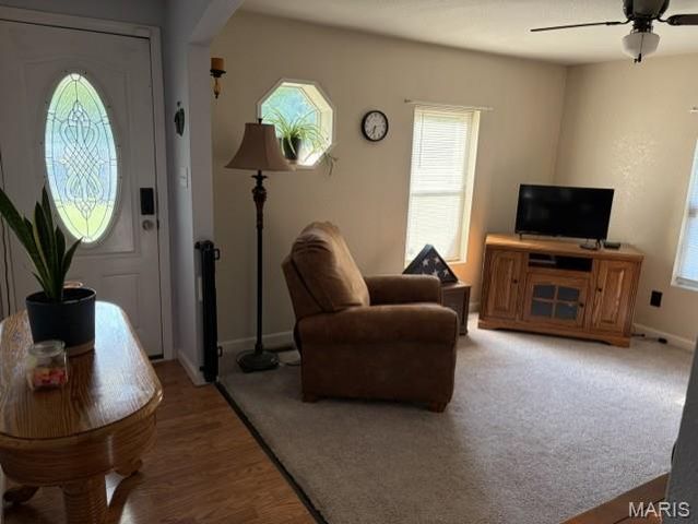 1495 Veterans Drive, De Soto, MO 63020