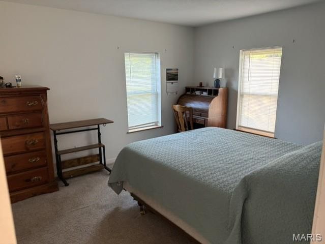 1495 Veterans Drive, De Soto, MO 63020