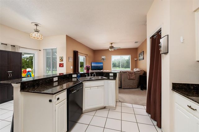 3513 PINE TOP DRIVE, Valrico, FL 33594