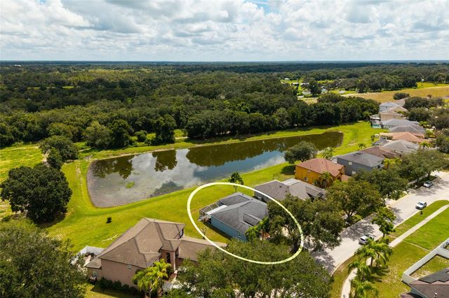 3513 PINE TOP DRIVE, Valrico, FL 33594