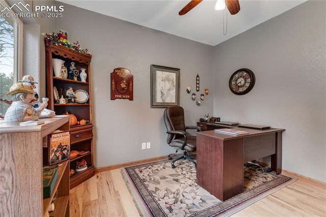 435 Pembrook Lane, Woodland Park, CO 80863