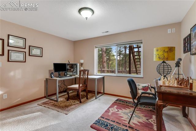 435 Pembrook Lane, Woodland Park, CO 80863