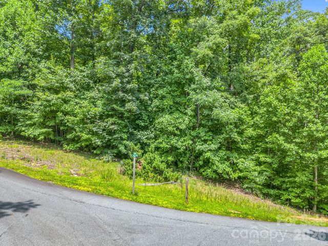 Lot 29 Matho Trace 29, Lake Lure, NC 28746